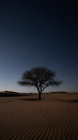 A solitary, bare tree stands in the middle of desert sand dunes with intricate ripple patterns under a deep, dark blue sky.の素材