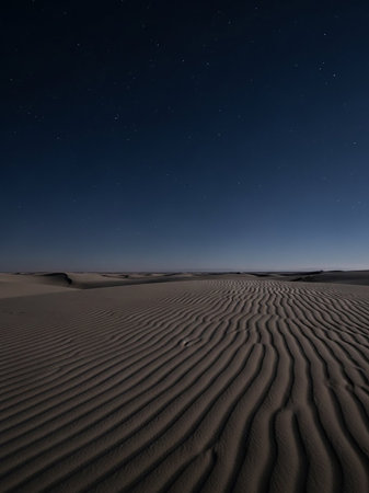 Vast desert sand dunes with intricate ripple patterns stretch towards the horizon under a deep blue night sky filled with countless stars.の素材