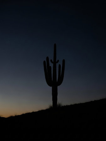 The stark silhouette of a Saguaro cactus stands against a deep blue twilight sky. The desert landscape below is also in shadow, with a hint of yellow or orange light on the horizon. The captures...の素材