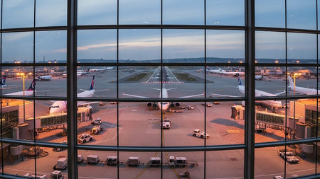 Sunlight streams through tall trees in a lush forest, illuminating a small stream flowing through the greenery and creating a serene and peaceful atmosphere.の素材