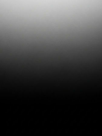 Simple showing smooth gradient transition from bright white at the to deep black at the bottom creating a stark and minimalist abstract background effect keywords:...の素材
