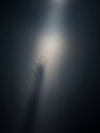 Dark showing silhouette of a person in a spotlight with dramatic light rays piercing through a dark, hazy, atmospheric environment keywords: silhouette, person,...の素材