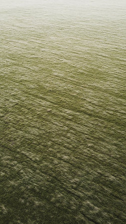 Focus showing soft focus aerial view of a green field with subtle textures and gradient lighting. resolution use.の素材