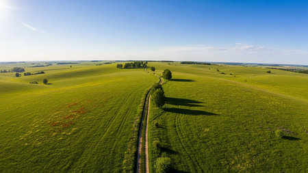 A winding dirt path meanders through vibrant green rolling hills dotted with trees under a clear blue sky on a sunny day.の素材