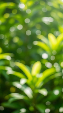 Circles showing blurred green foliage with soft bokeh circles of light creating a natural and abstract background texture. resolutionの素材