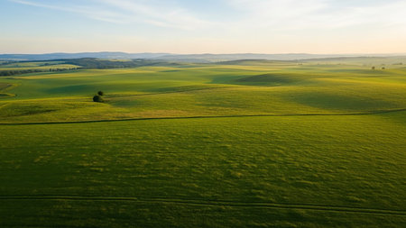 Vast rolling green fields stretch towards a soft golden sunset sky, with gentle slopes and a single tree dotting the landscape.の素材