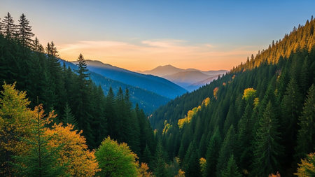 A deep mountain valley at sunset, with evergreen forests on one side and vibrant autumn foliage on the other, under a warm, hazy sky.の素材