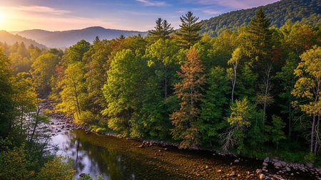 An aerial view a river winding through a dense forest ablaze with autumn colors. Golden sunlight bathes the trees and rolling hills in warm light.の素材