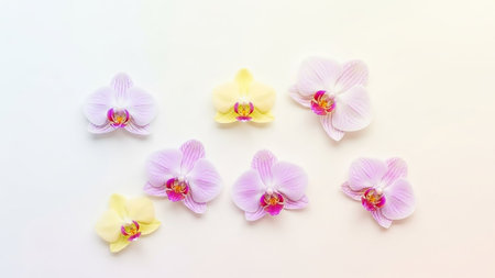 A gentle arrangement of yellow and lavender orchid blooms with pink centers is scattered across a pale cream surface, showcasing soft, delicate colors.の素材