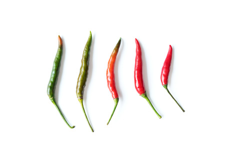 chili pepper on white backgroundの写真素材