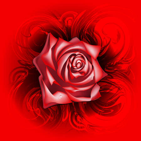 Red rose on an abstract background, eps10のイラスト素材