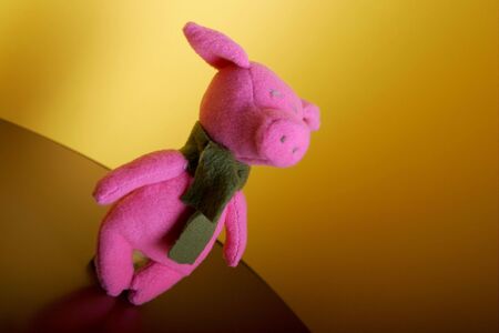 Pink a pigの写真素材