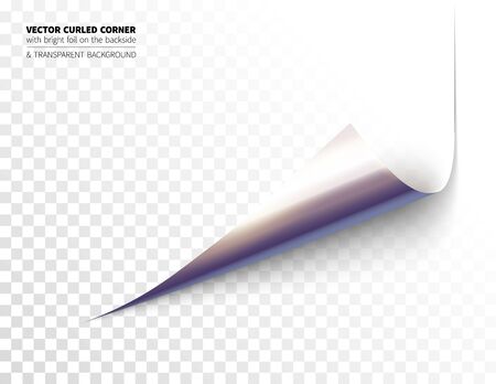 Vector realistic curled cornerのイラスト素材