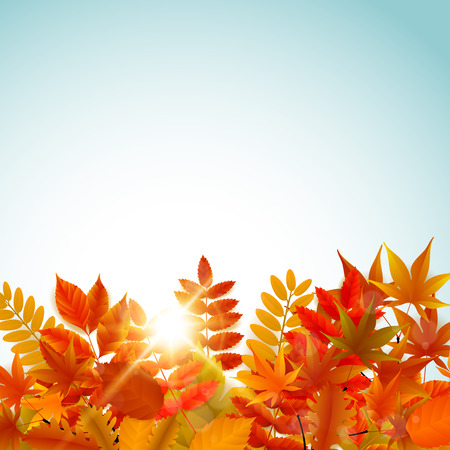 Autumn leaves and sun on blue sky background. Bright banner for autumn sale. Vector illustration.のイラスト素材