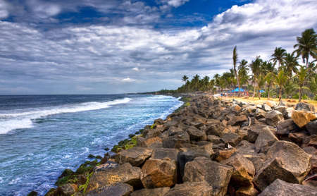 coast line of kovalam in kerala full of rocks and coconut treesの写真素材