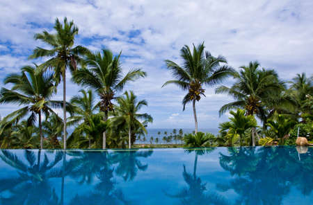 Sea view infinity pool with coconut trees at a resort in Kovalam, Kerala, Indiaの写真素材