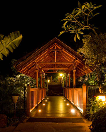 way to the spa and to supreme relaxation amidst the trees and the faunaの写真素材