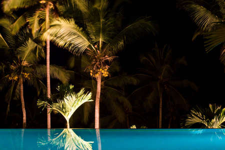 coconut trees and swimming poolの写真素材