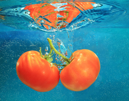 tomatoes in water on a blue backgroundの写真素材