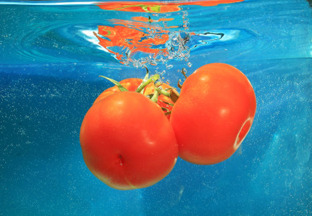 tomatoes in water on a blue backgroundの写真素材