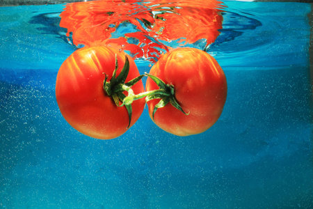 tomatoes in water on a blue backgroundの写真素材