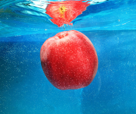 apple in water on a blue backgroundの写真素材