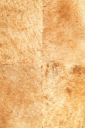top view leather backgroundの写真素材