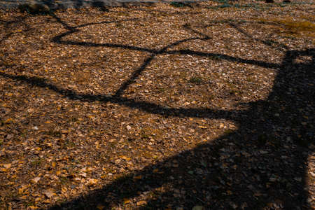 Guilin-Autumn in Haiyang Townshipの写真素材