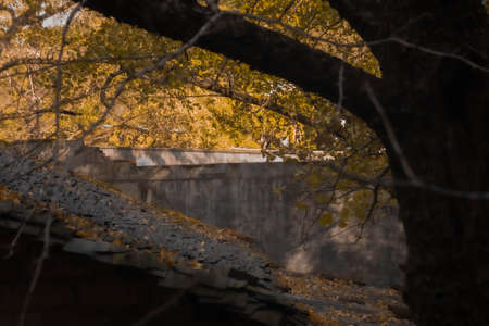 Guilin-Haiyang Townshipの写真素材