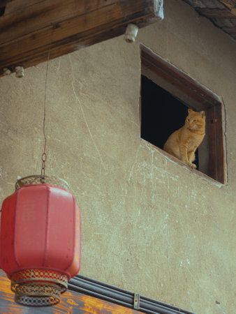 Daxu Ancient Townの写真素材