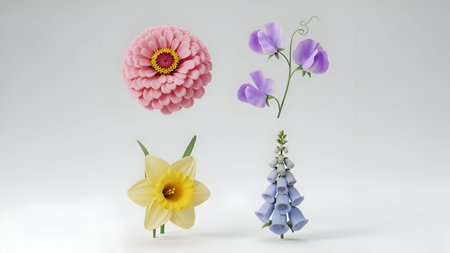 The four distinct flowers, each with unique colors and shapes, set against a plain white background....