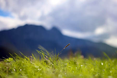 Zakopane - Tatra Mountains - Panorama with view on Giewontの写真素材
