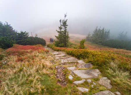 Autumn in Babia Gora Mountain - Beskidy Mountainsの写真素材
