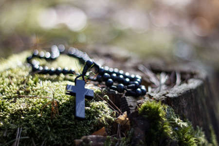 Rosary in the woodsの写真素材