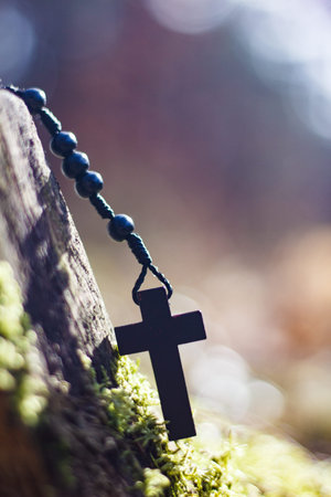 Rosary in the woodsの写真素材