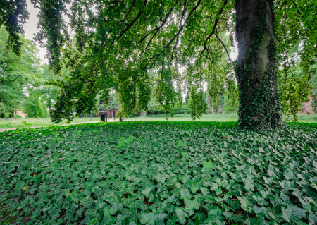 Fortified manor in Slowacki Park in city Pabianice, Polandの写真素材