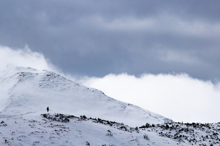 Western Tatras Mountains in winter - Polandの写真素材