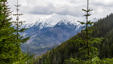 Mountains in the Carpathians. Ukraine. Europe. Beauty world.の写真素材