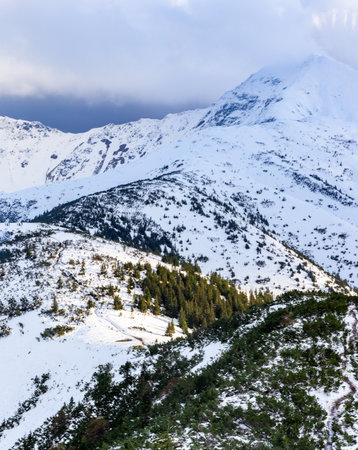 Mountain landscape with snow covered peaks and coniferous forest.の写真素材