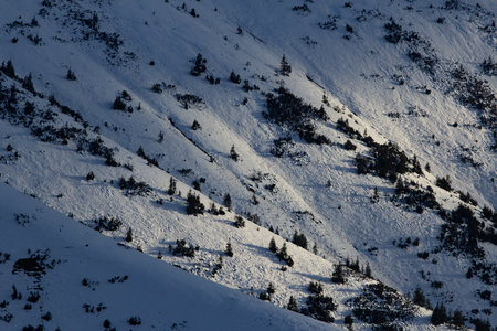 Snowy winter mountain landscape with coniferous forest on slope.の写真素材
