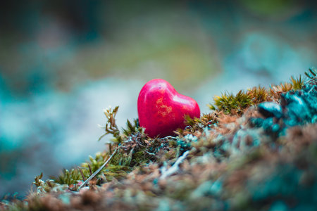 Heart figure in the forest - love conceptの写真素材