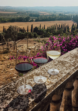 Two glasses of red and white wine on terrace in Tuscany, Italyの写真素材