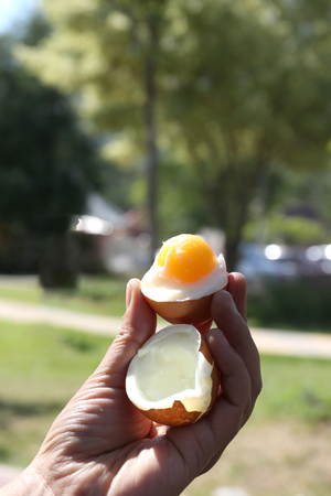 Open boiled eggの写真素材