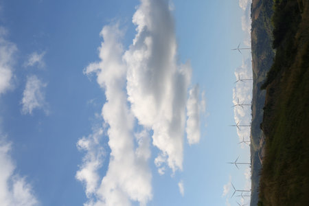 Windmills On Hill Summer Day