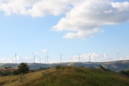 Windmills On Hill Summer Day
