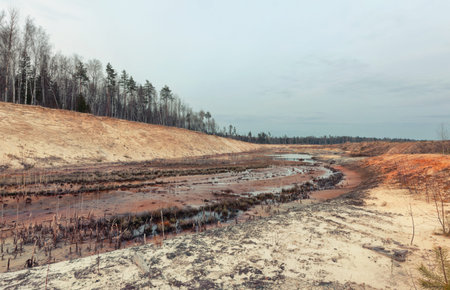 Landscape old waterlogged sand quarry. Environmental pollutionの写真素材