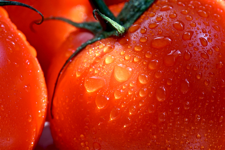 Red tomato raw foodの写真素材