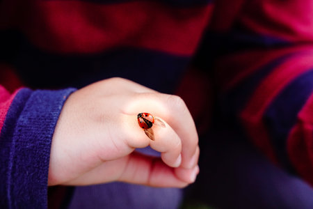 Lady bug on children hand