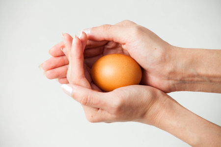 isolated hand holding egg in white backgroundの写真素材
