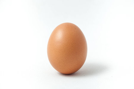isolated eggs in white backgroundの写真素材